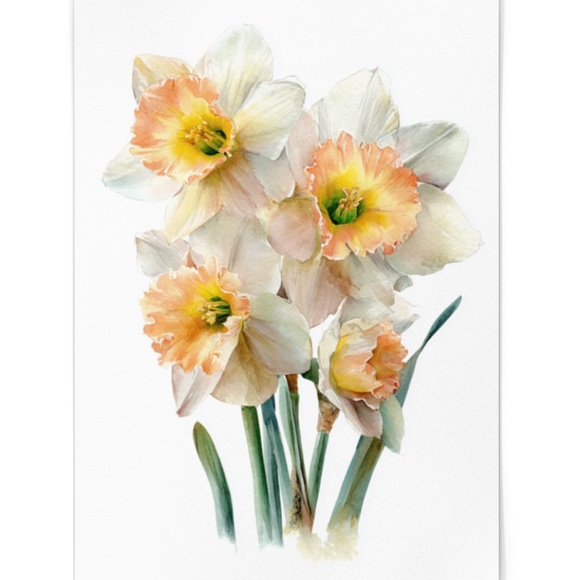Watercolor Daffodils Flowers Wall Art Illustration Print Poster Unframed - Picture 6 of 6